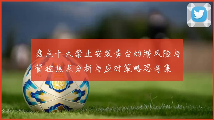 盘点十大禁止安装黄台的潜风险与管控焦点分析与应对策略思考集