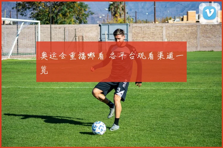 奥运会重播哪看 各平台观看渠道一览